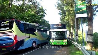 Konvoi 11 Bus Po Blue Star Ziarah Akbar Di Tanjakan Leter Es Kajar Colo Sunan Muria Konvoi 11 Bus Po Blue Star Ziarah Akbar Di Tanjakan Leter Es Kajar Colo Sunan Muria
