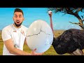 Cooking The World’s BIGGEST Egg!!! **Ostrich**