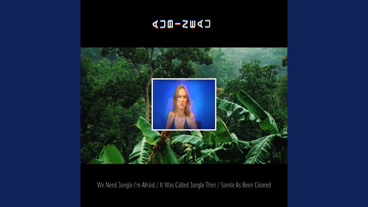 Watch We need Jungle I'm Afraid / It Was Called Jungle Then / Sample As Been Cleared on YouTube
