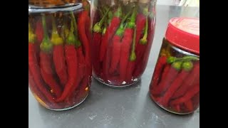 فلفل مسيّر وصفة تونسيّة تقليدية بدون مواد كميائية تصبير طبيعي  Piment de Cayenne mariné