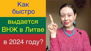 Как быстро выдается ВНЖ в Литве в 2024 году?