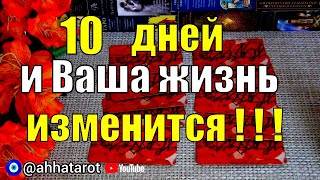 📖КАКИЕ СТРАНИЦЫ СУДЬБЫ ВАМ ОТКРОЮТСЯ В БЛИЖАЙШИЕ 10 ДНЕЙ? 🍀♥️ Гадание Таро