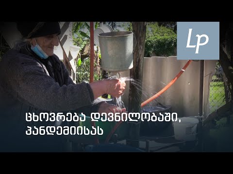 ცხოვრება დევნილობაში, პანდემიისას