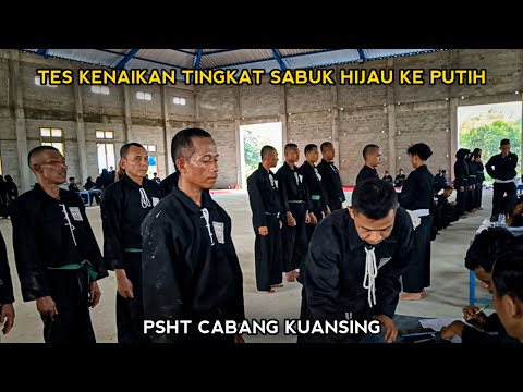 TES KENAIKAN TINGKAT SABUK HIJAU KE PUTIH PSHT ... CABANG KUANSING 2022