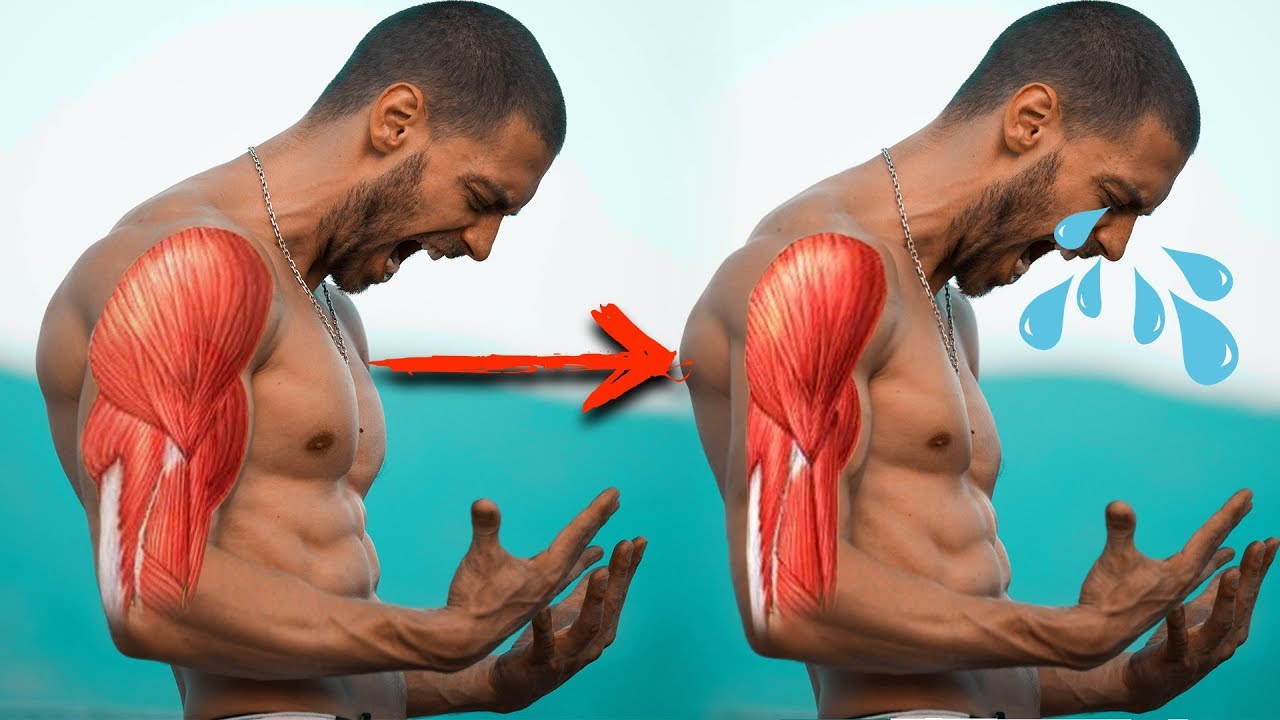 Asi Funciona el CATABOLISMO Muscular ¿Como Dejar de Catabolizar? - YouTube