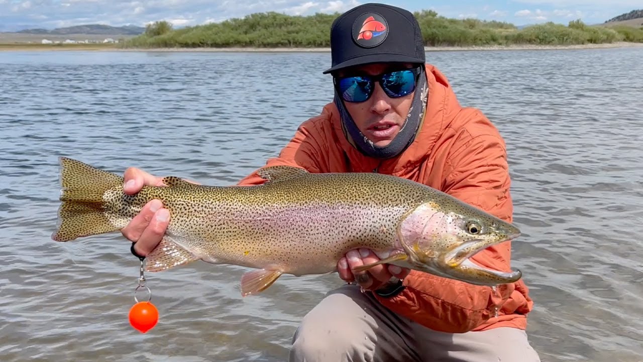 FISHTECHY This New Technology CHANGE