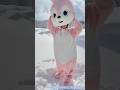 着ぐるみ中の人 エマうさちゃん Teaser Kigurumi Cosplay Kigurumi 着ぐるみ中の人 着ぐるみ 着ぐるみ中の人 着ぐるみ 可愛い