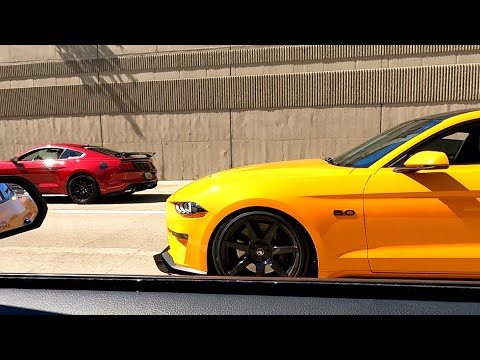 (Auto vs Manual)