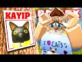 TEYZENİN KAYIP KEDİLERİNİ BULUYORUZ 😊 - Roblox Find the Cats