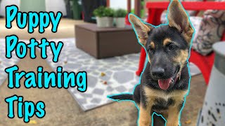 How to Potty Train a German Shepherd Puppy!