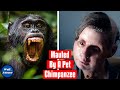 Chimpanzee Attack | The Story of Travis The Chimp and Charla Nash | Well, I Never