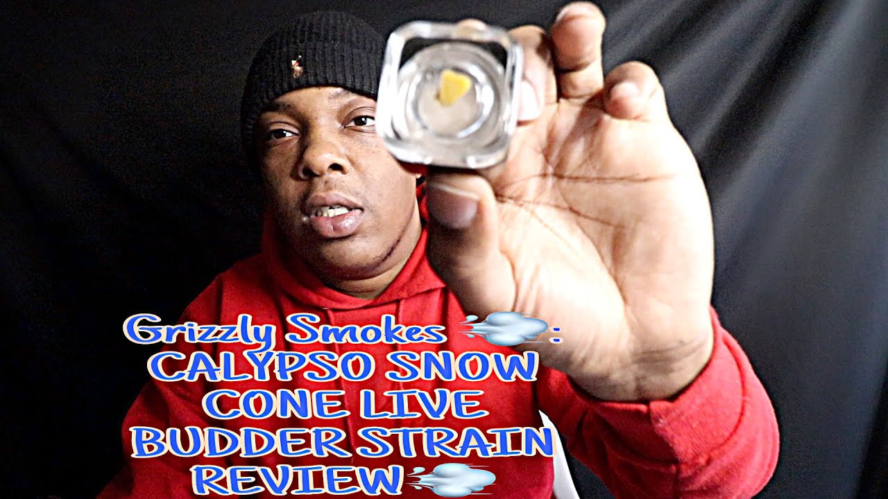 Grizzly Smokes 💨: CALYPSO SNOW CONE LIVE BUDDER STRAIN REVIEW💨