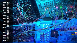 Self-Generative Eurorack Modular Synthesis: Someone's Knocking at the Door