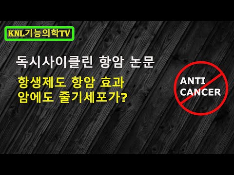 항생제도 항암효능?  / 독시사이클린이 유방암에 효과 있다-항암논문