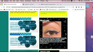 Assignment 3 - Instructions Net Worth