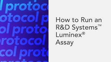 How to Run an R&D Systems Luminex® Assay: Protocol, Tips & Tricks