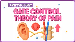 5. Gate Control Theory of Pain⚡| Mechanism, Modulation | USMLE Step 1 Neurophysiology