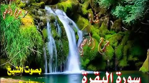 القرآن الكريم سورة البقرة صوت فخم الشيخ عبدالله الموسى بدون إعلانات
