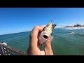 Fishing the PIER! Eating Whatever I Catch.. (Catch and Cook)