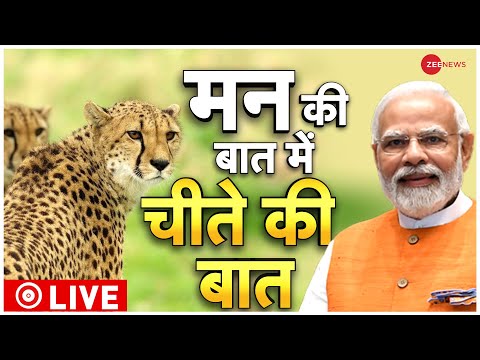 PM Modi Mann Ki Baat Live: पीएम ने चीतों को लेकर ख़ुशी जताई  | 93rd Edition | Narendra Modi Address - ZEENEWS
