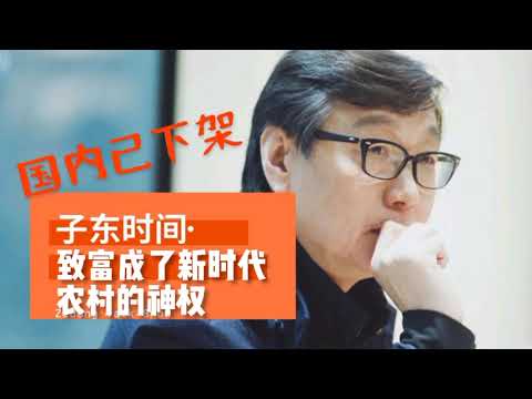 【国内已下架】许子东： 延安时期毛泽东为何赠诗丁玲【子东时间】