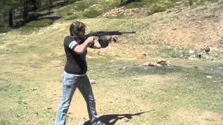 Saiga 12