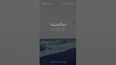 سورة الجاثيه آية 13