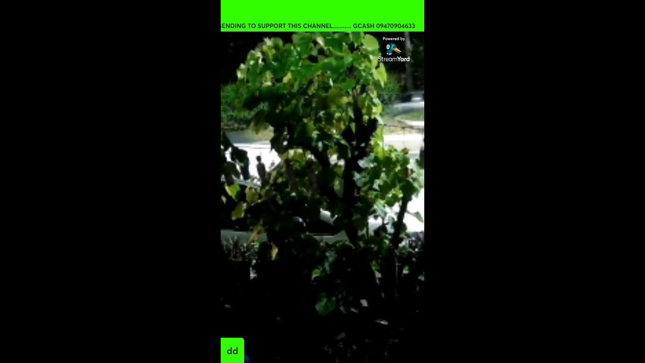 come in everybody para happy