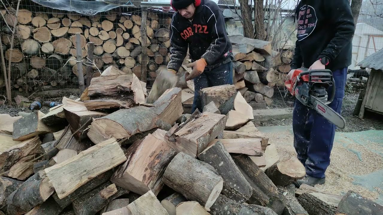 Husqvarna 550 Mark 2 drujba perfecta pentru taiat lemn de foc in gospodarie