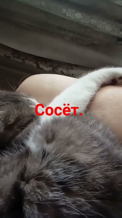 прекрасный сосун. - YouTube