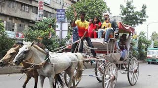 Horse carriage Old Dhaka 🇧🇩 কি অবস্তায় আছে  সদরঘাটের টমটম (ঘোরার গারি)@mhbvlog