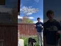 POV: People you call there dog anything but there name… #pets #relatable #funny #shorts