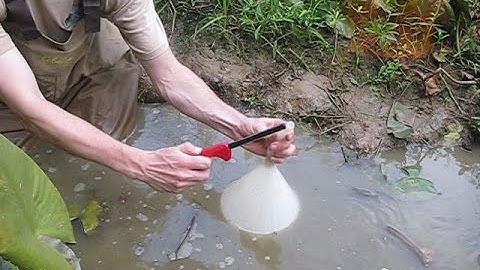 Burning Methane in Alabama Swamp