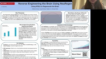 Reverse Engineering the Brain with NeuRegen