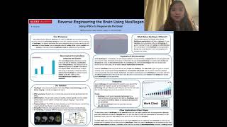Reverse Engineering the Brain with NeuRegen