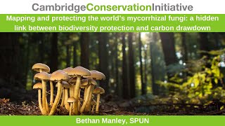Mapping and Protecting the World's Mycorrhizal Fungi | Bethan Manley, SPUN