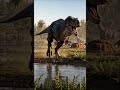 The Jurassic Giant Larger Than Allosaurus #torvosaurus #jurassic #dinosaur #paleontology #pre