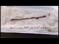 سلوك التعود