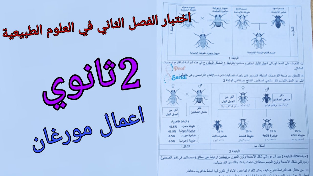 اختبار الفصل الثاني في العلوم الطبيعية للسنة الثانية ثانوي حول اعمال مورغان (اليات انتقال الصفات الو