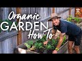 How To Grow Your Own Organic Garden | Seeds, Soil, Sprouting & More!