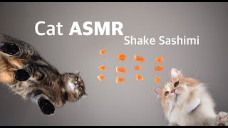 RAW Salmon | Cats eating ASMR on glass table by FurryFritz - Catographer 13,950 views 2 years ago 1 minute, 53 seconds