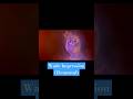 Wade Impression (Elemental) #elemental #disney