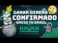 💣 Confirmado Airdrop de Havah Wallet Oportunidad hasta el 14/01/2023