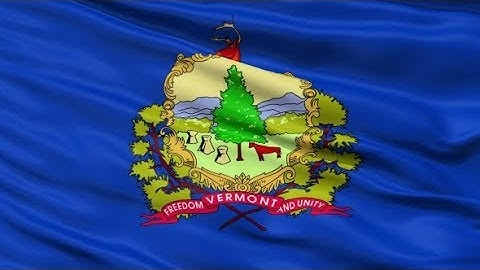 Waving National Flag of Vermont | Motion Graphics - Videohive template