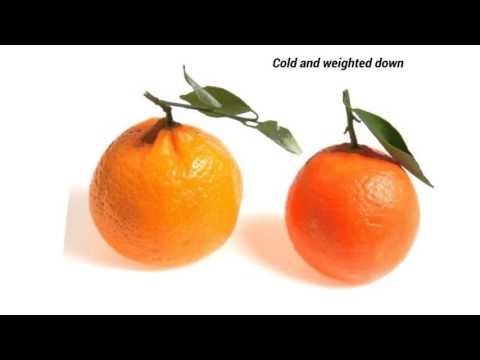 Oranges gary soto