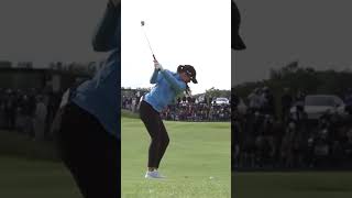 The Best Swing Youve Never Seen