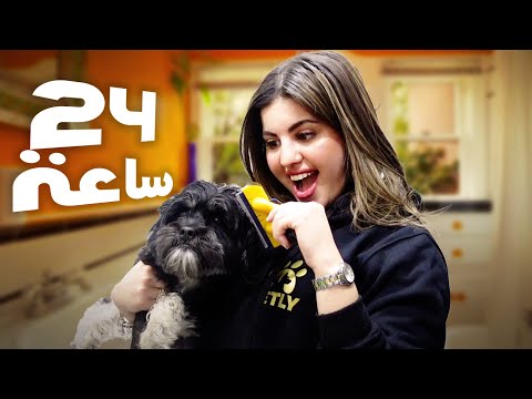 اشتغلت كوافيرة حيوانات ليوم كامل