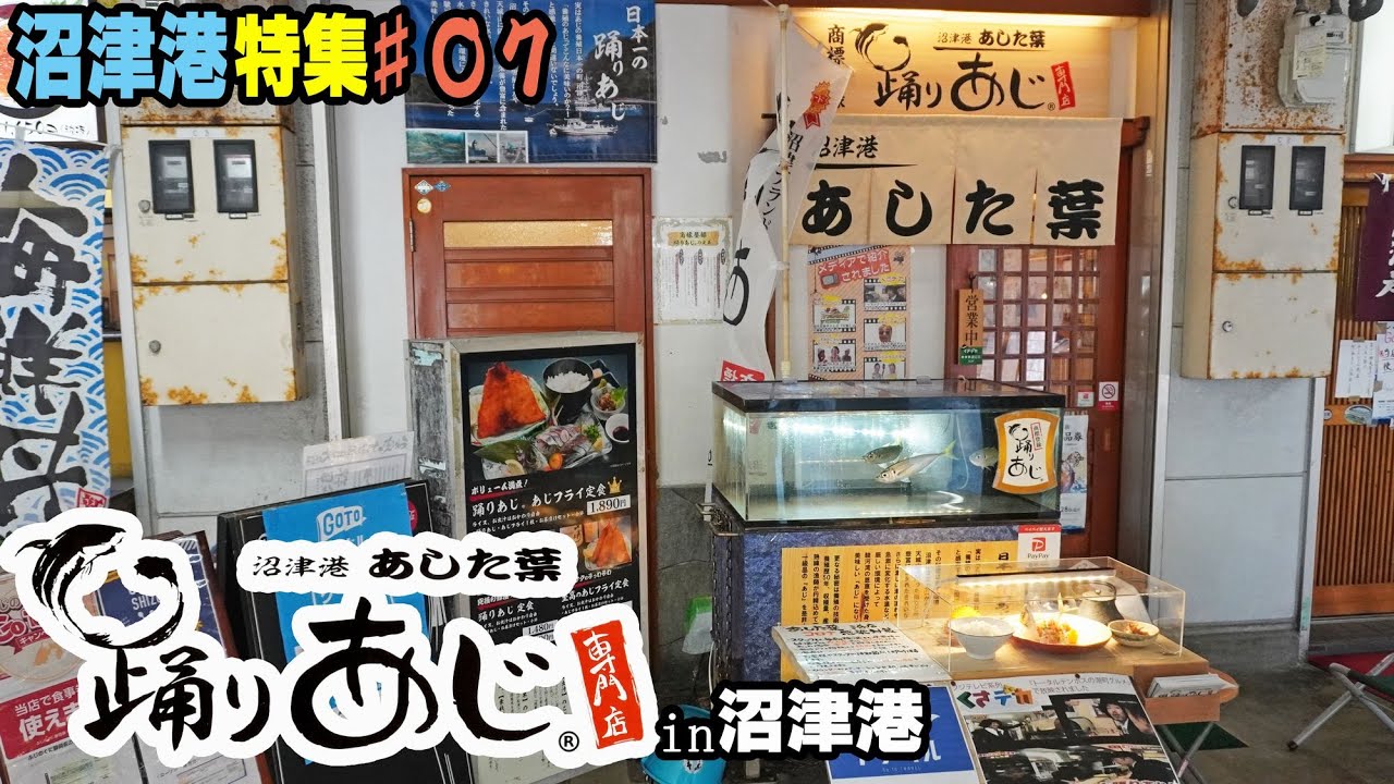 沼津港特集♯07『あした葉』アジ専門店！目の前で捌かれたばかりの新鮮アジを踊り食い！