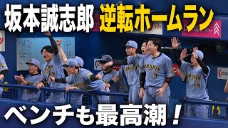 [On-Site Footage] Seishiro Sakamoto's Home Run Sparks Wild Celebration in the Dugout! screenshot 3