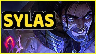SYLAS HIGHLIGHTS